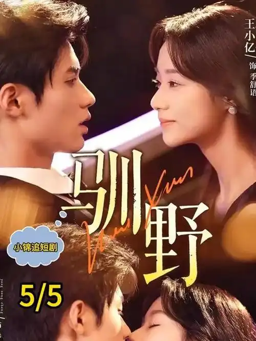 声音的旅行 音乐综艺在线观看